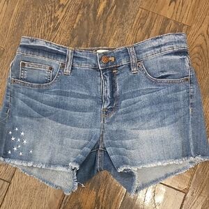 J. Crew Blue Denim Shorts